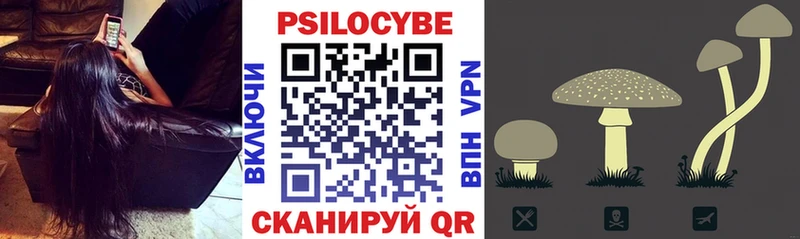 Псилоцибиновые грибы Psilocybe дарнет шоп Горно-Алтайск